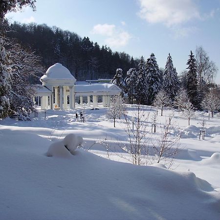Villa Sonnenstrahl Marianske Lazne Bagian luar foto