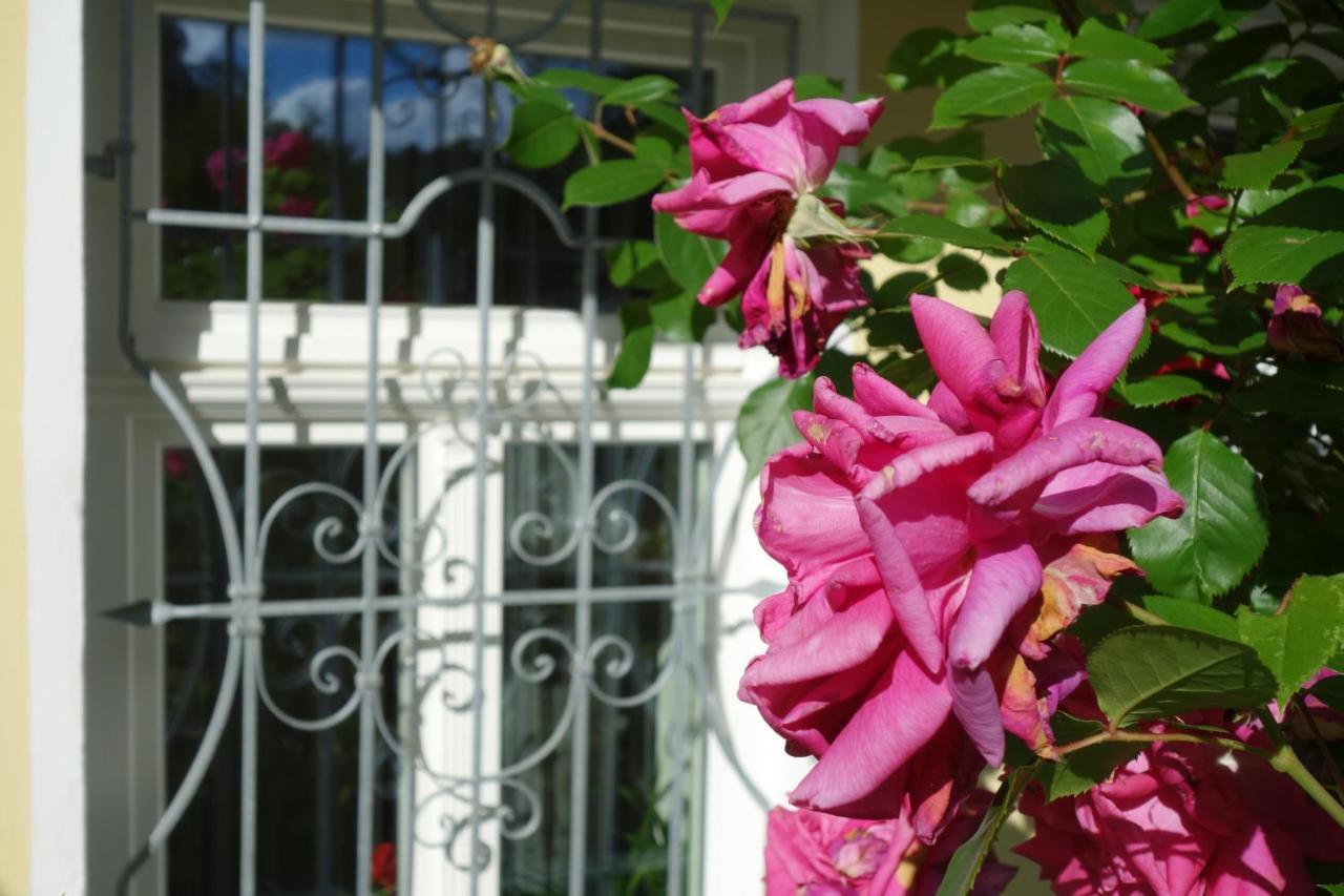 Villa Sonnenstrahl Marianske Lazne Bagian luar foto