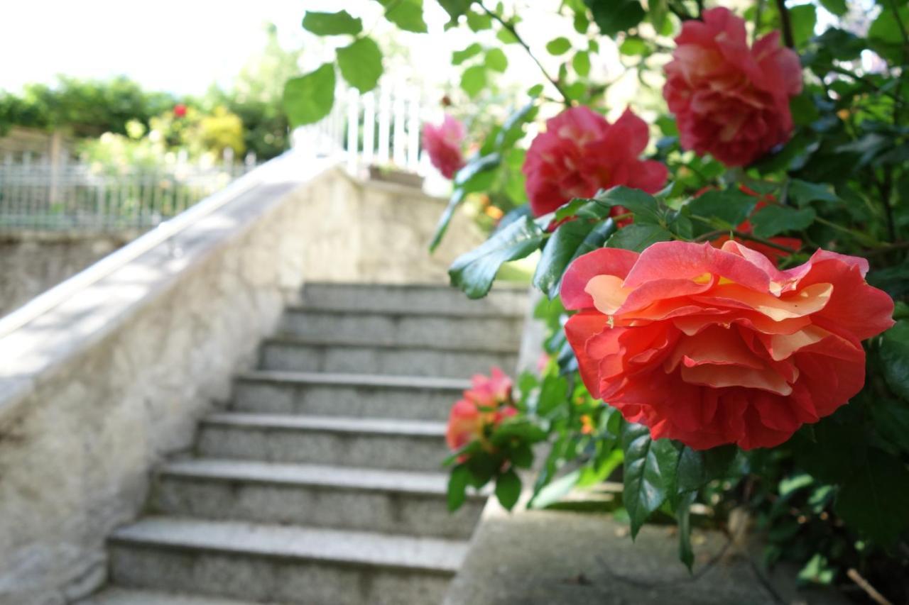 Villa Sonnenstrahl Marianske Lazne Bagian luar foto